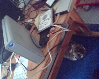 hard drives and rabbit