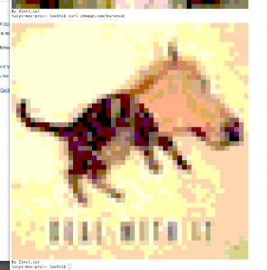 It&rsquo;s a horsecat. Obviously.