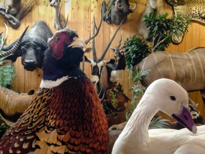 phesant and goose